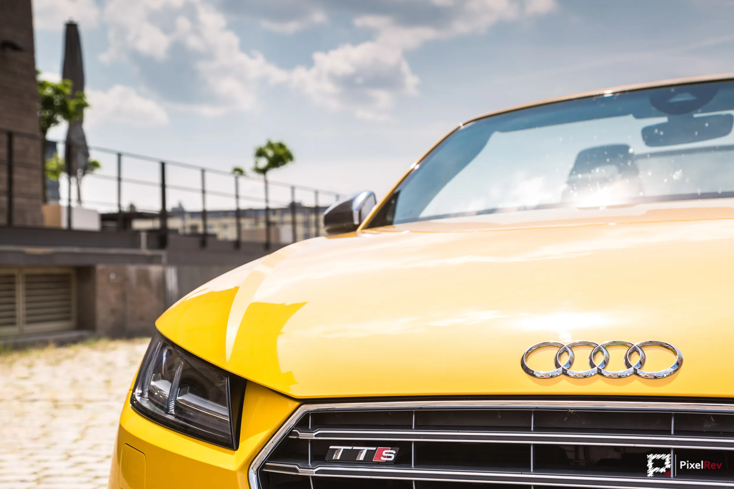 Kühlergrill mit TTS-Schriftzug und Audi-Ringen, Detailaufnahme