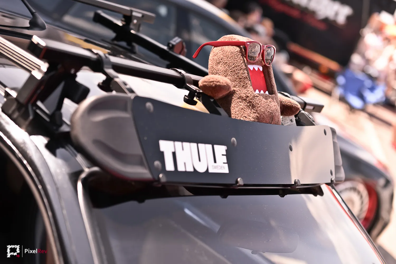 Domo-Plüschfigur mit Brille auf einem Dachträger beim Überfest 2014 am Sachsenring