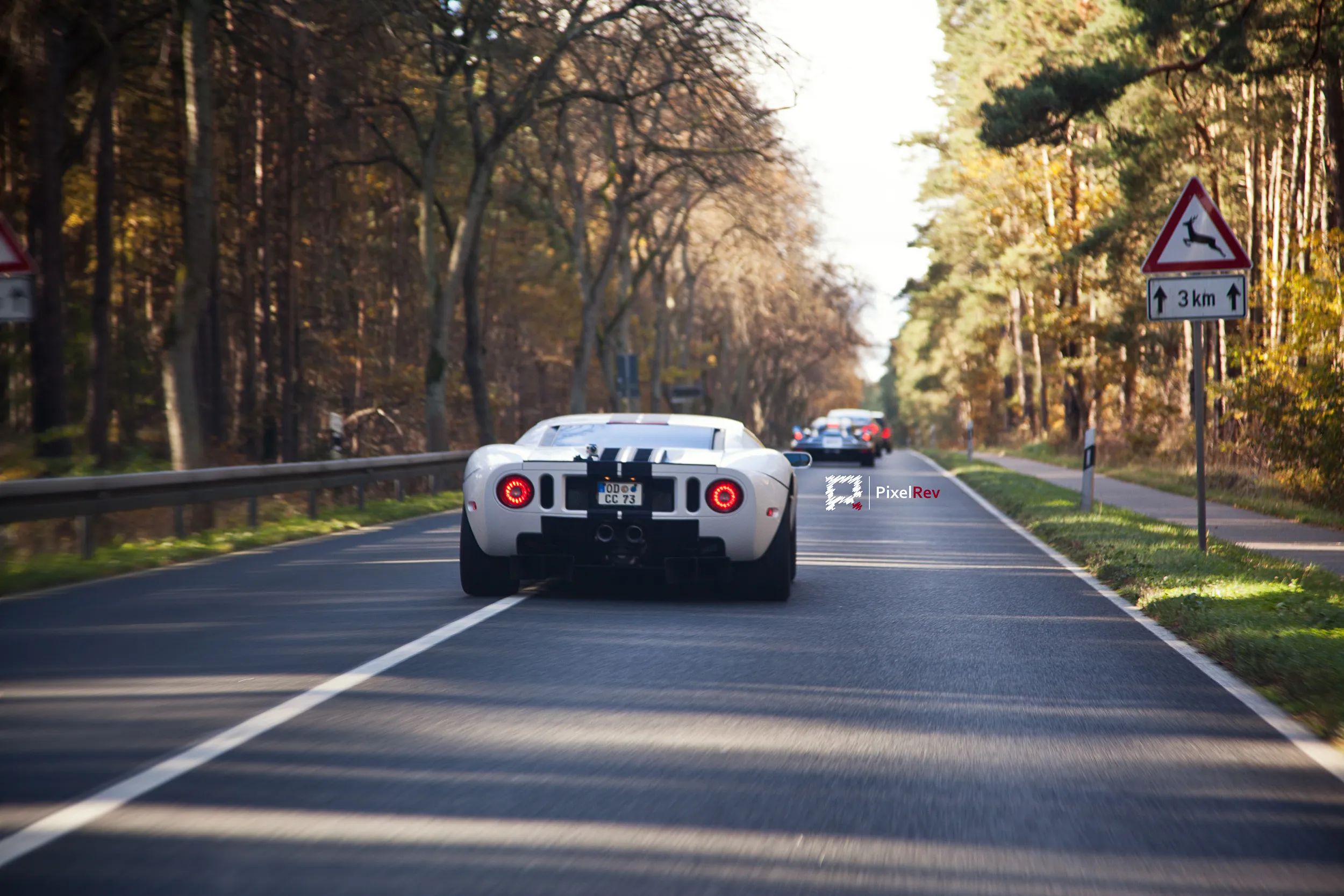Weißer Ford GT von hinten in Fahrt auf einer herbstlichen Allee