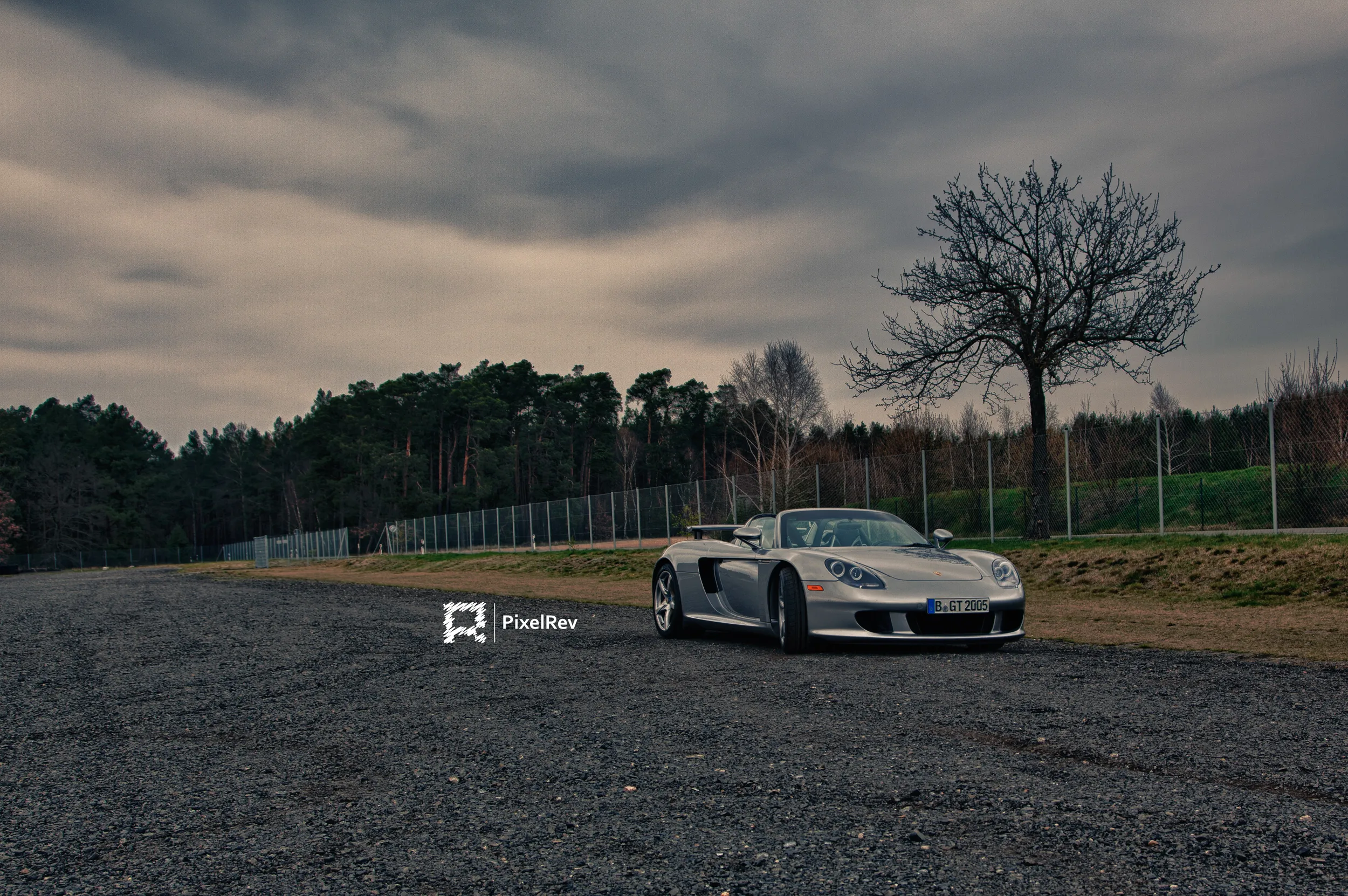 Silberner Porsche Carrera GT mit offenem Dach vor einem kahlen Baum unter Wolkenhimmel