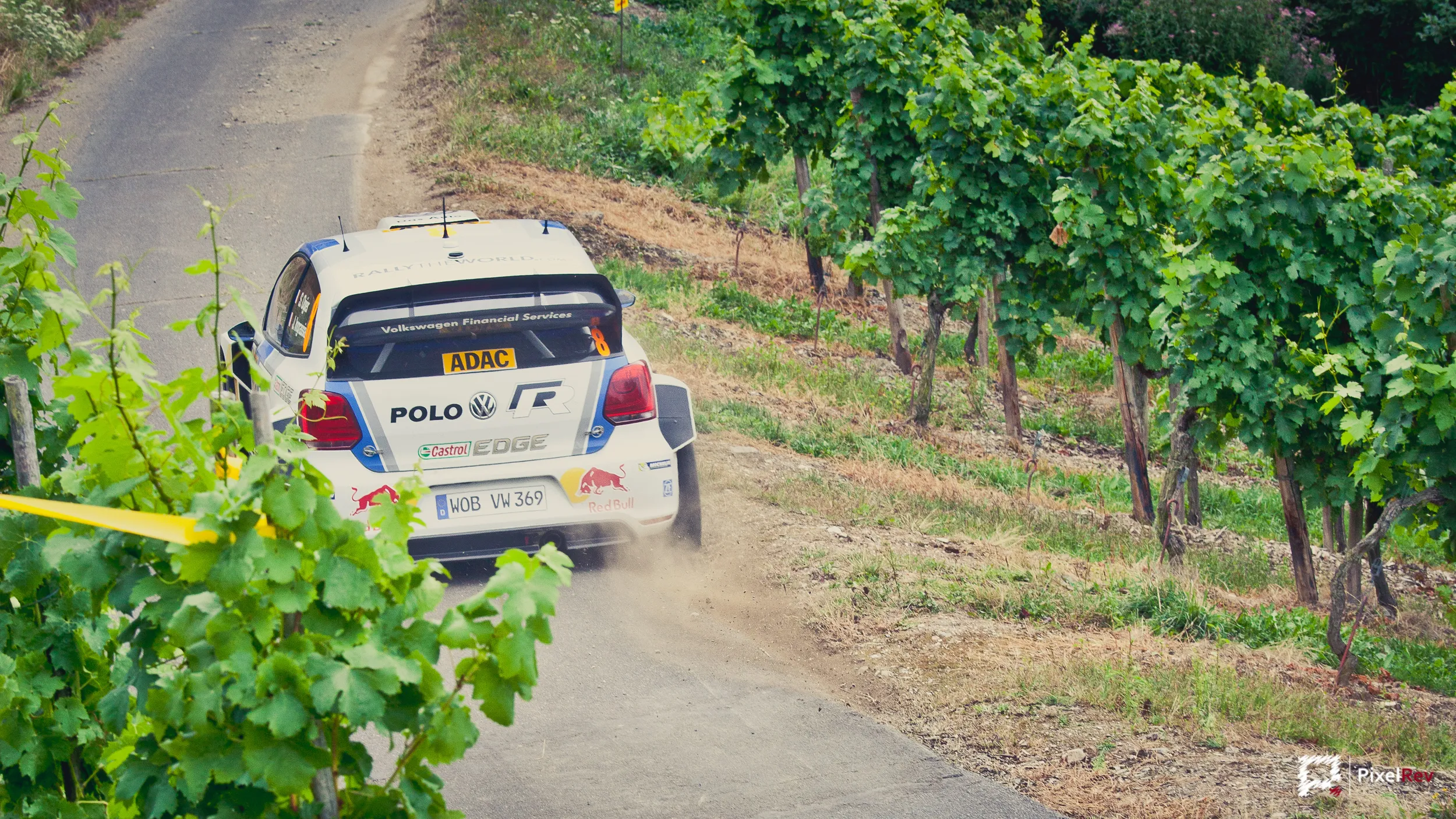 VW Polo R WRC auf einer Wertungsprüfung zwischen Weinreben